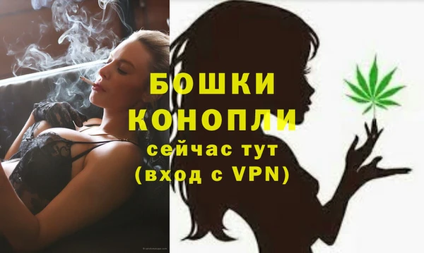 гидра Наволоки