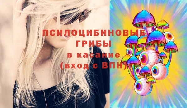 MESCALINE Надым