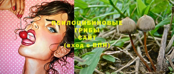 соль ск Вяземский