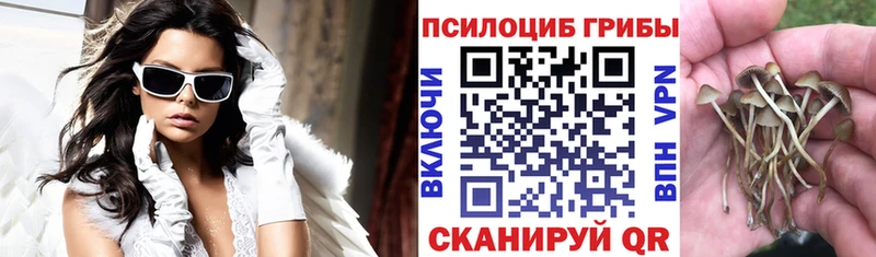 Псилоцибиновые грибы Psilocybe  Медынь 